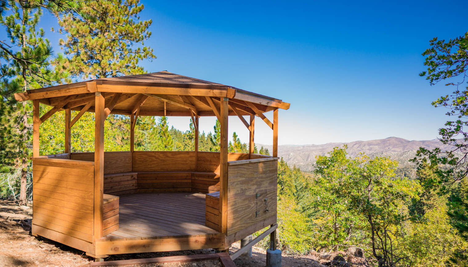 A gazebo overlooking a forest.